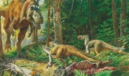 官方爆料恐龙时代视频,官方爆料视频带你穿越史前世界